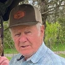 Mr. Jim Dewain Davis