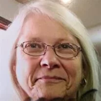 Carolyn Ann Hill Teems