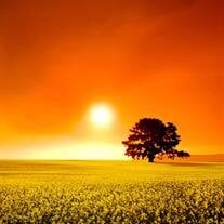 Robert “Joey” Joseph Mullis