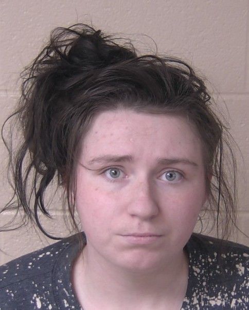 MEGAN GIBSON BOOKING PHOTO