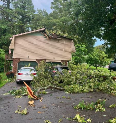 Tree on House 2