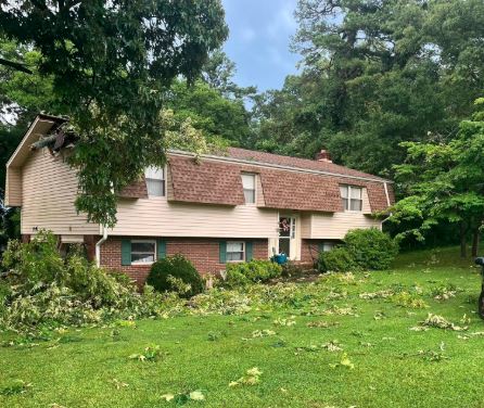 Tree on House3